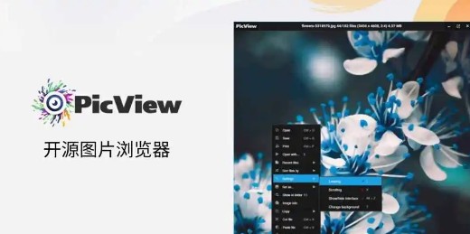 PicView中文免费版
